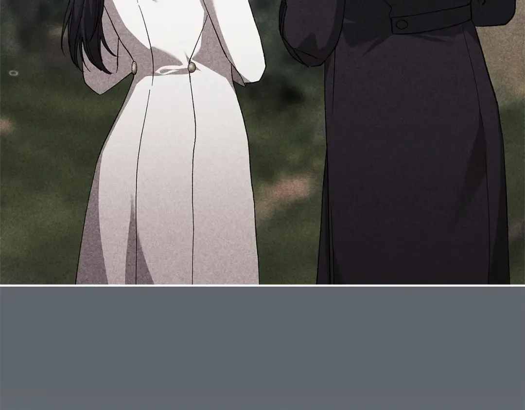 第558页