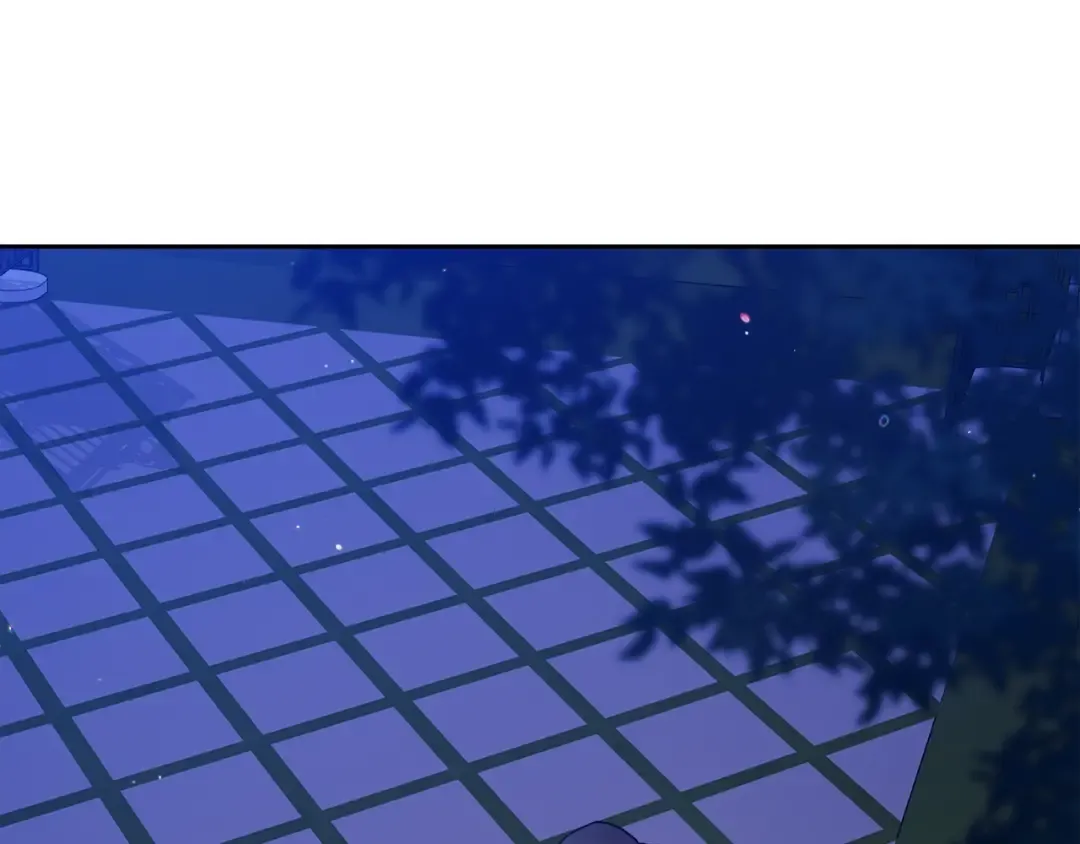 第243页