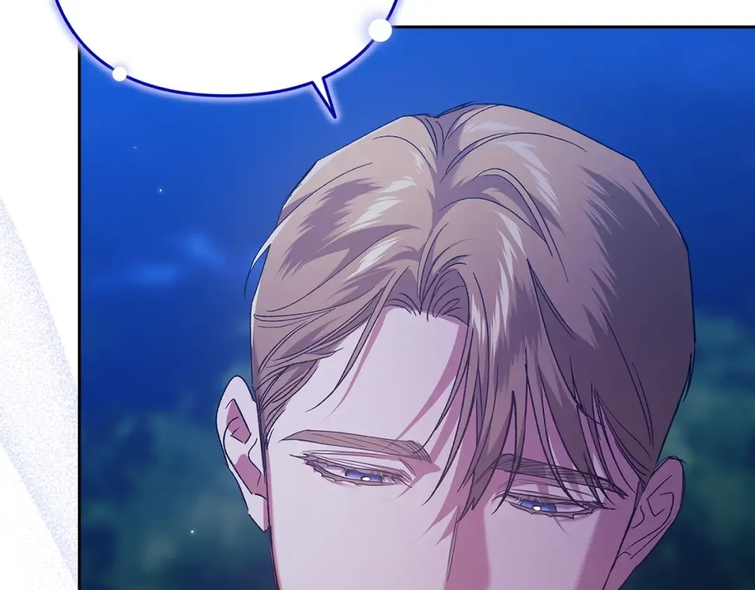 第411页