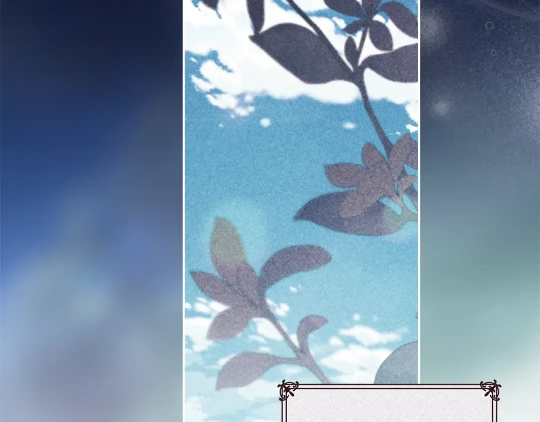第507页