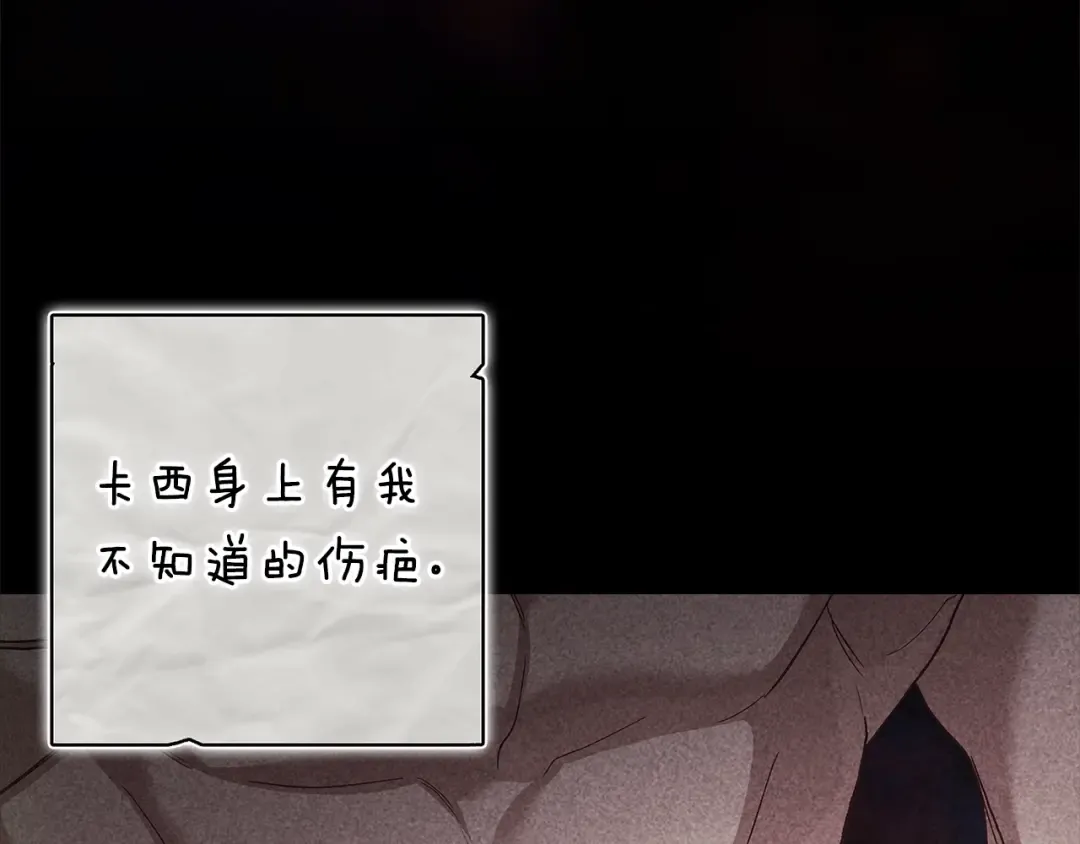 第204页