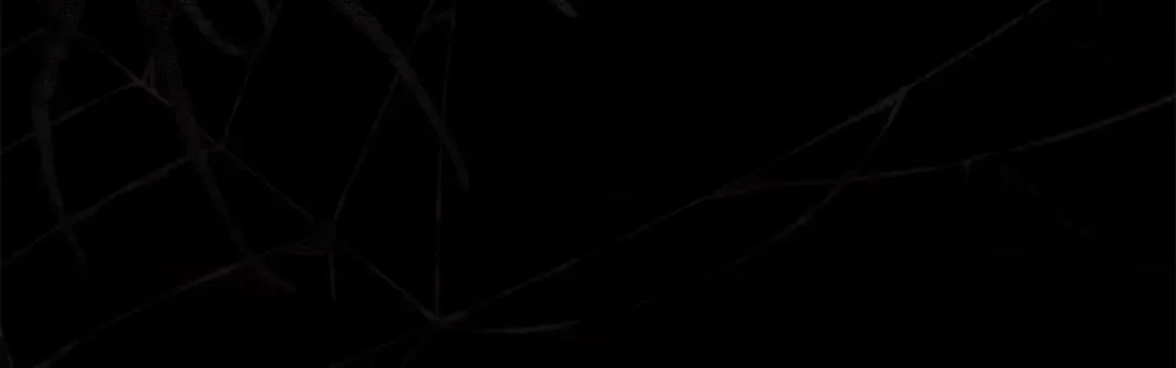 第435页