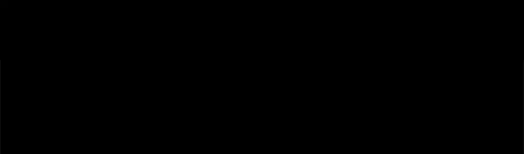 第369页