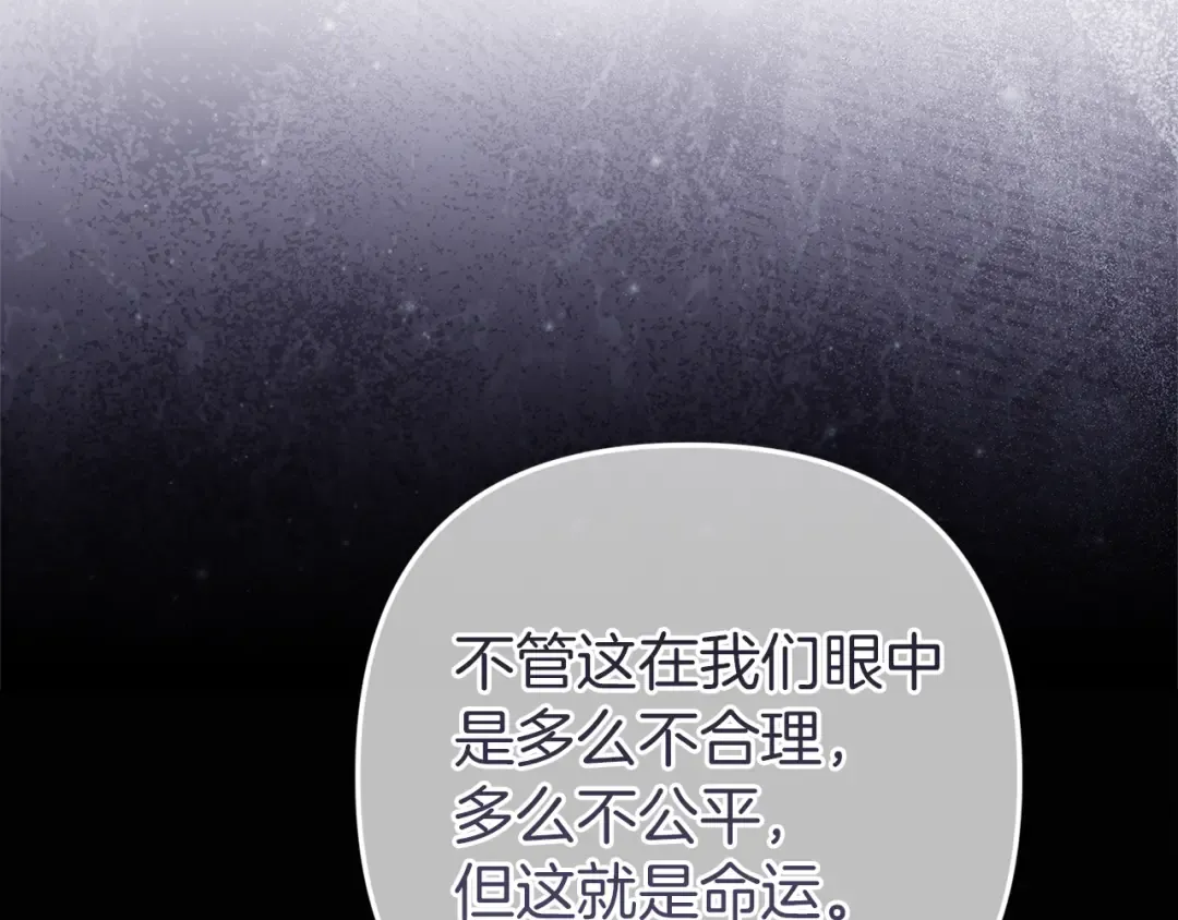 第279页