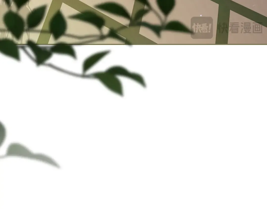 第486页