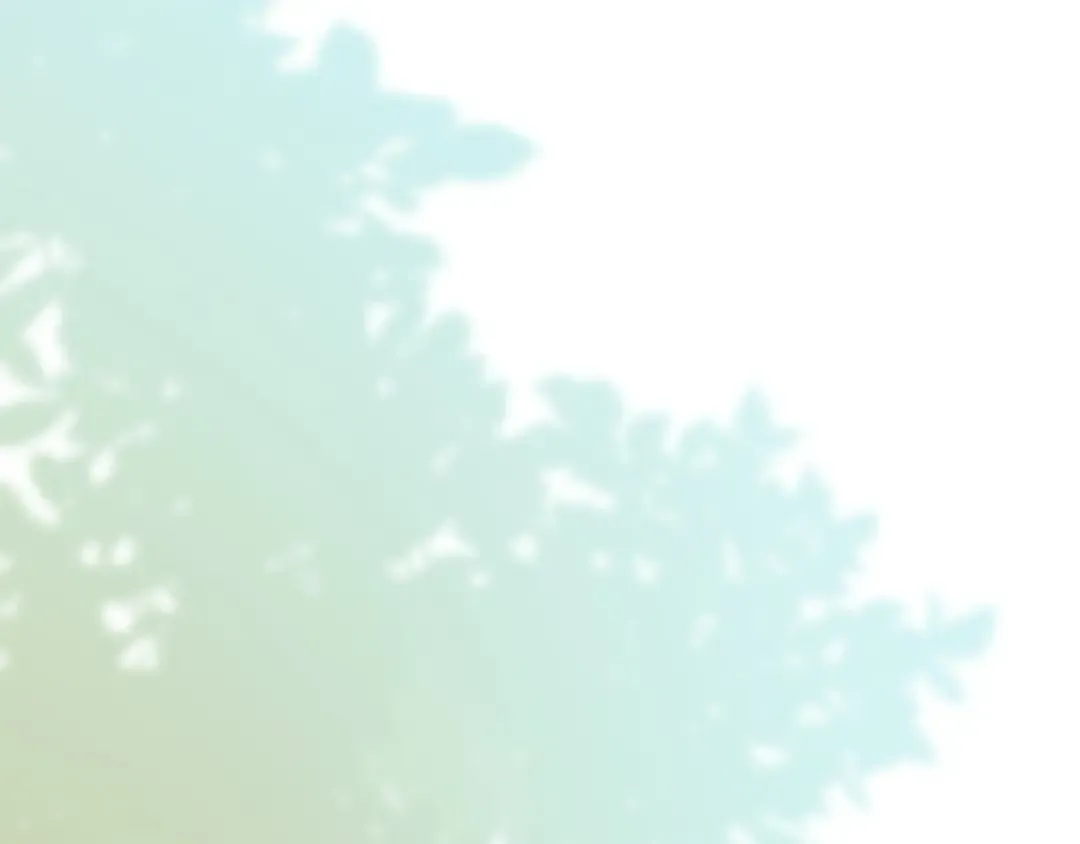 第297页