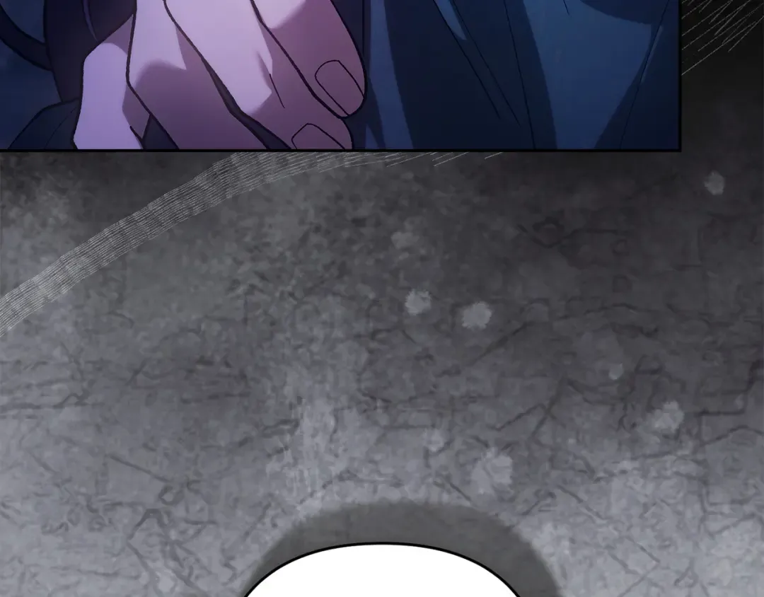 第558页