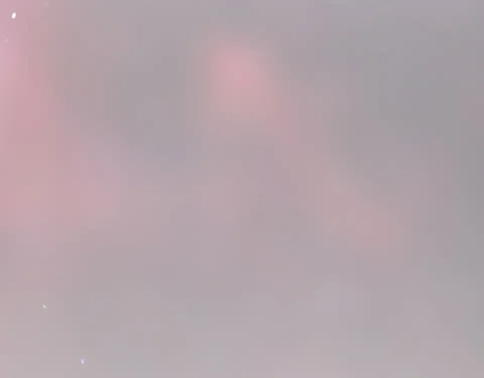 第384页