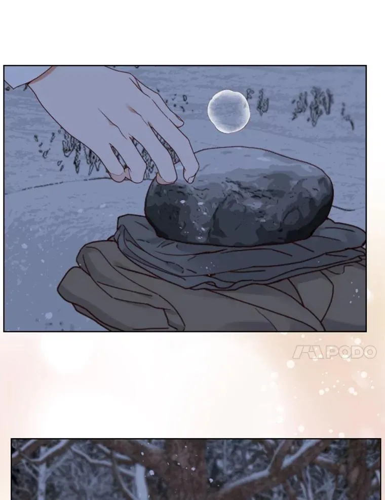 第255页