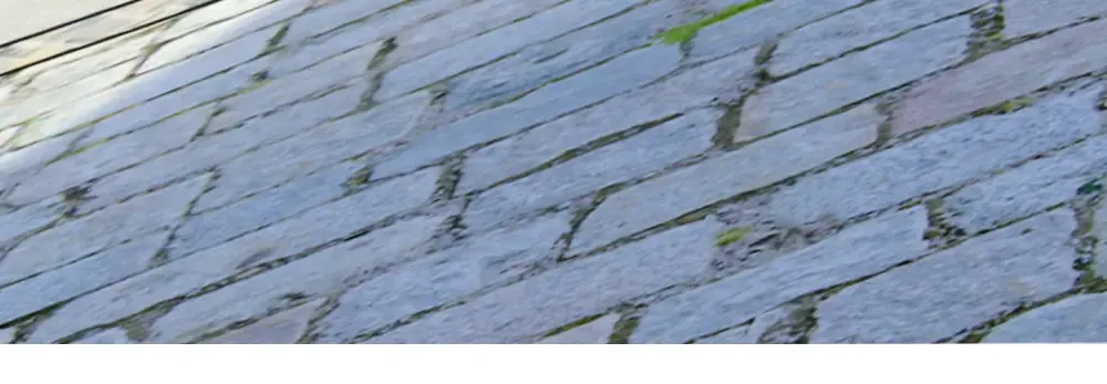 第183页