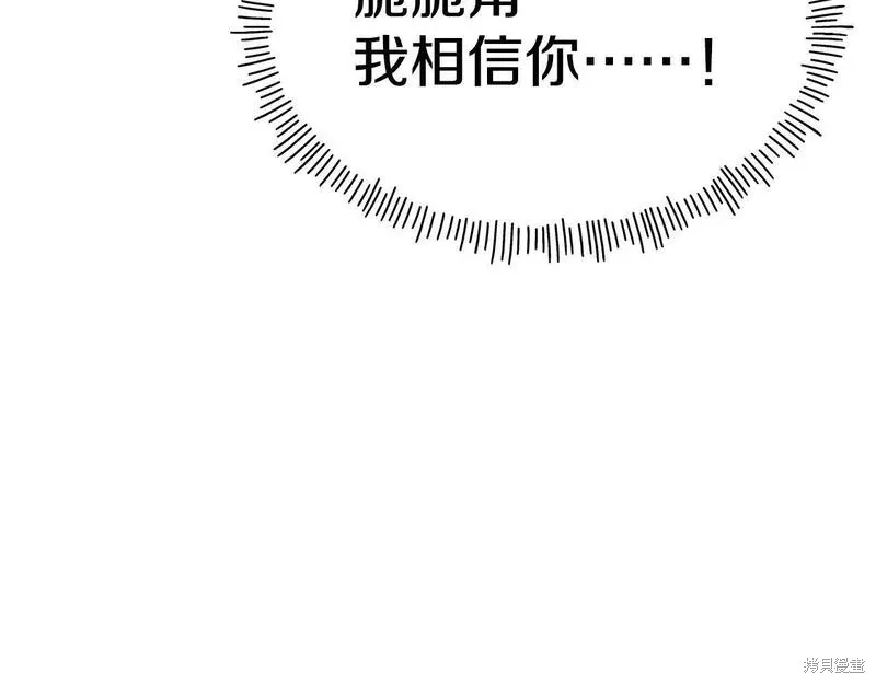 第255页