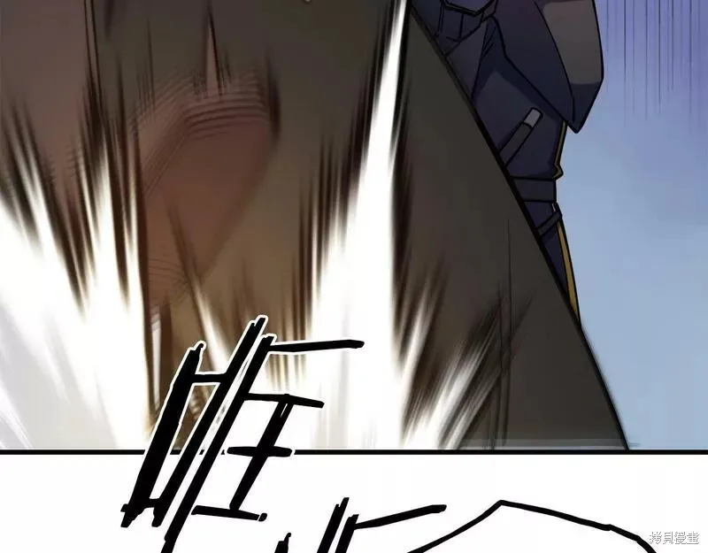 第411页