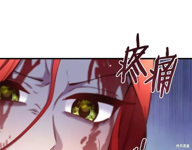 第333页