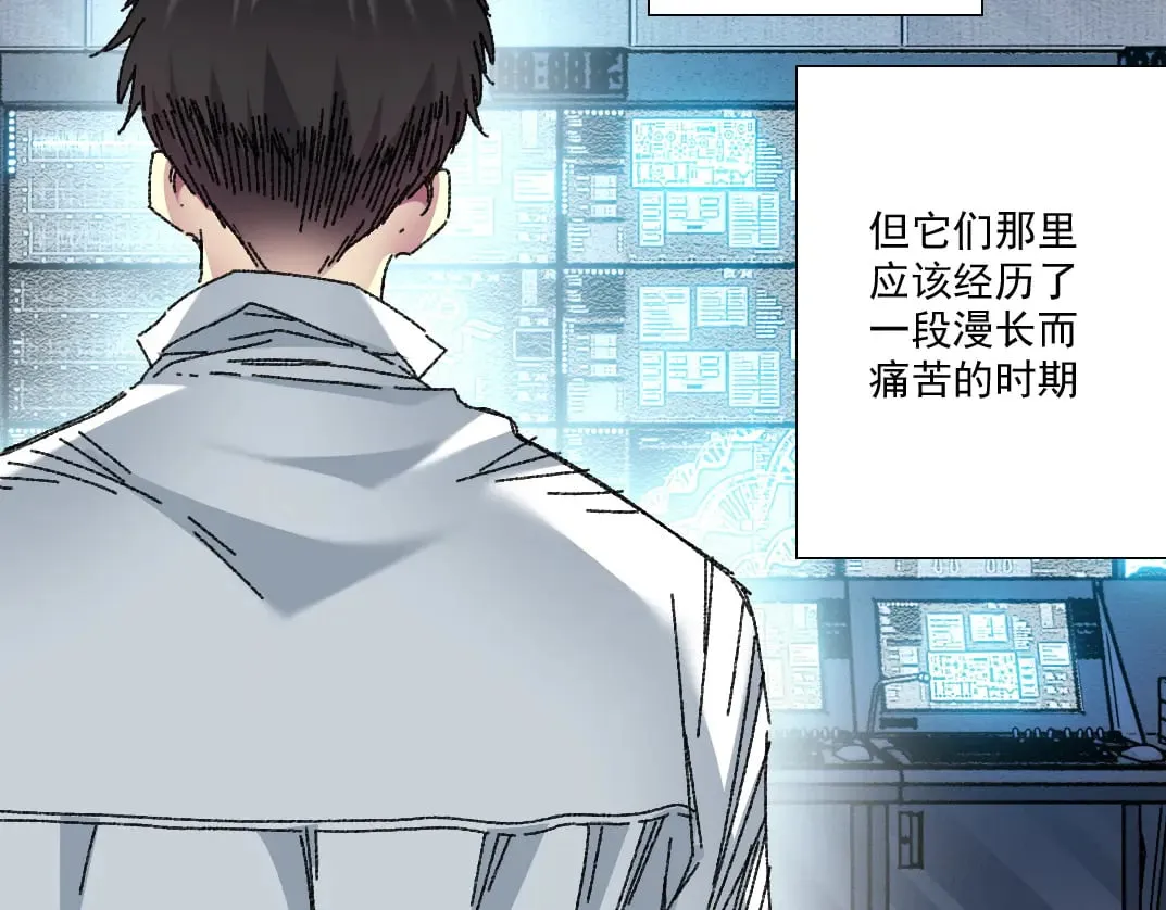 第255页