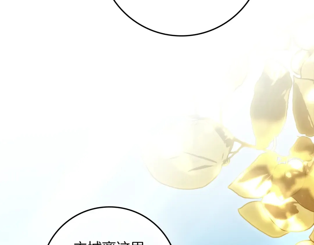 第426页
