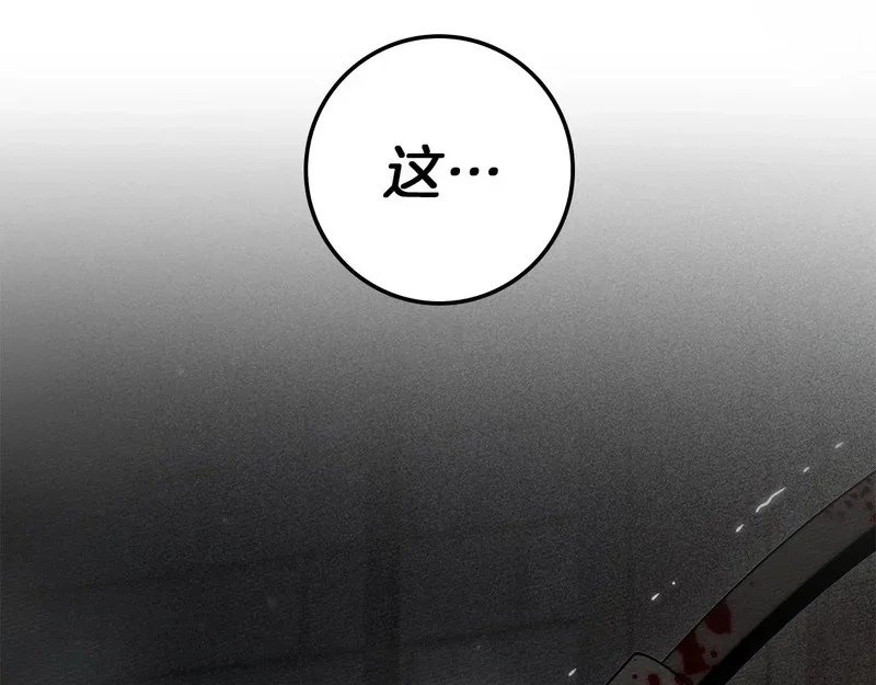 第537页