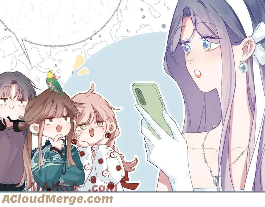 第204页
