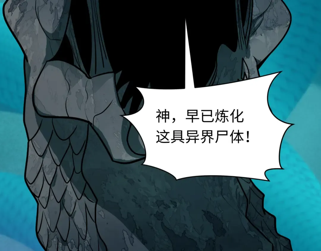 第204页