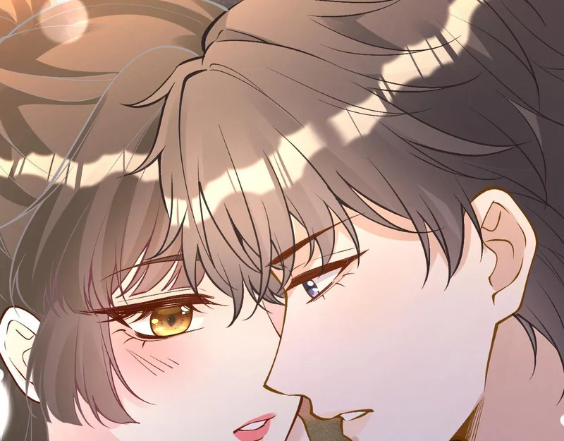 第252页