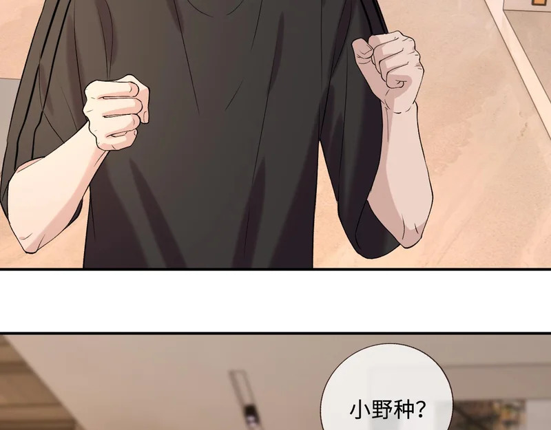第258页
