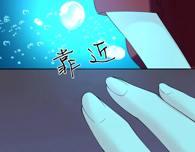 第204页