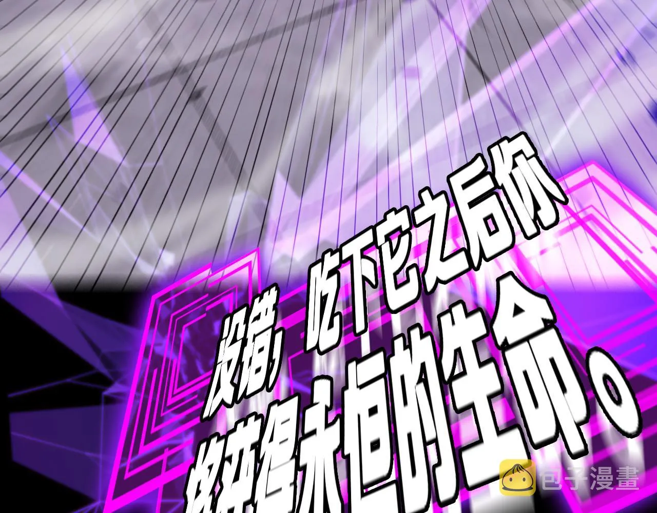 第204页
