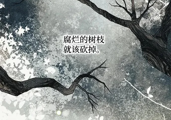 第426页