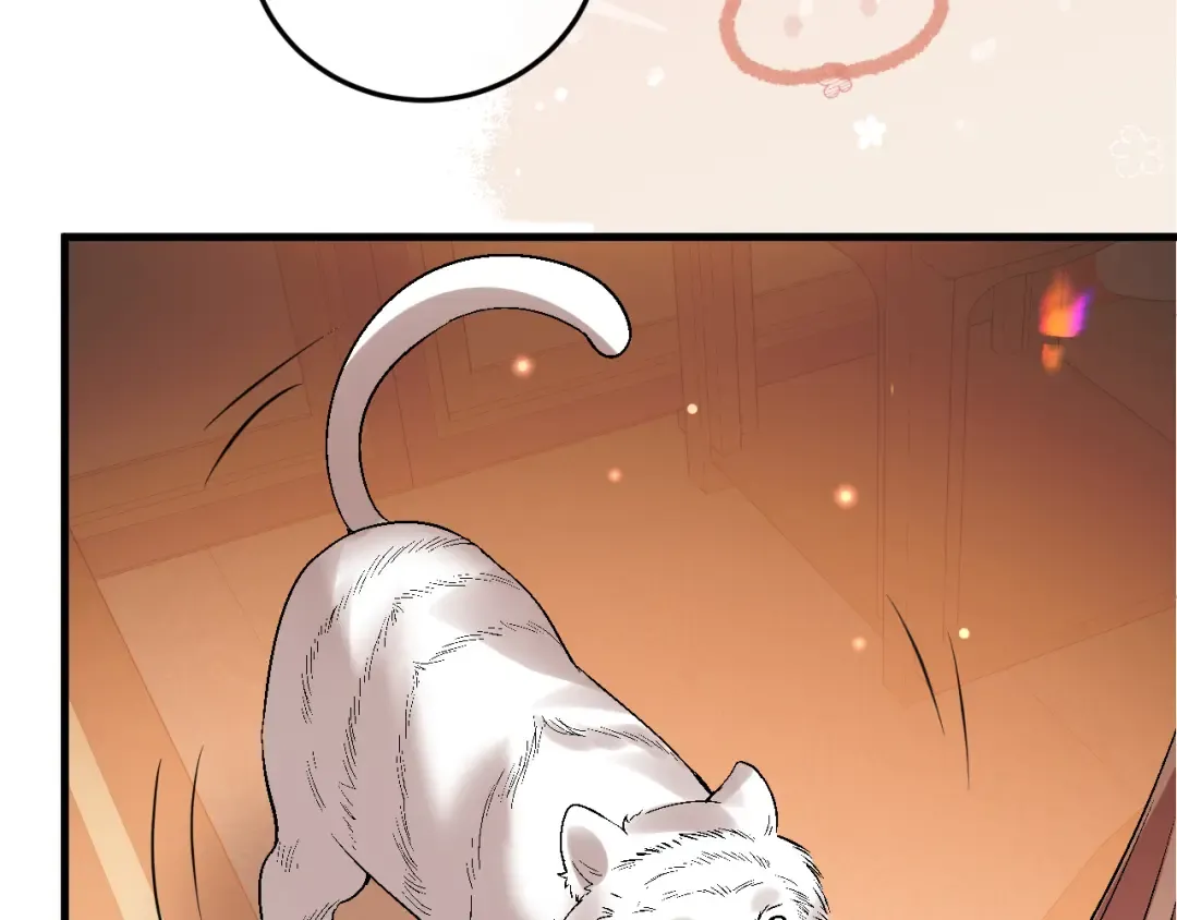 第207页