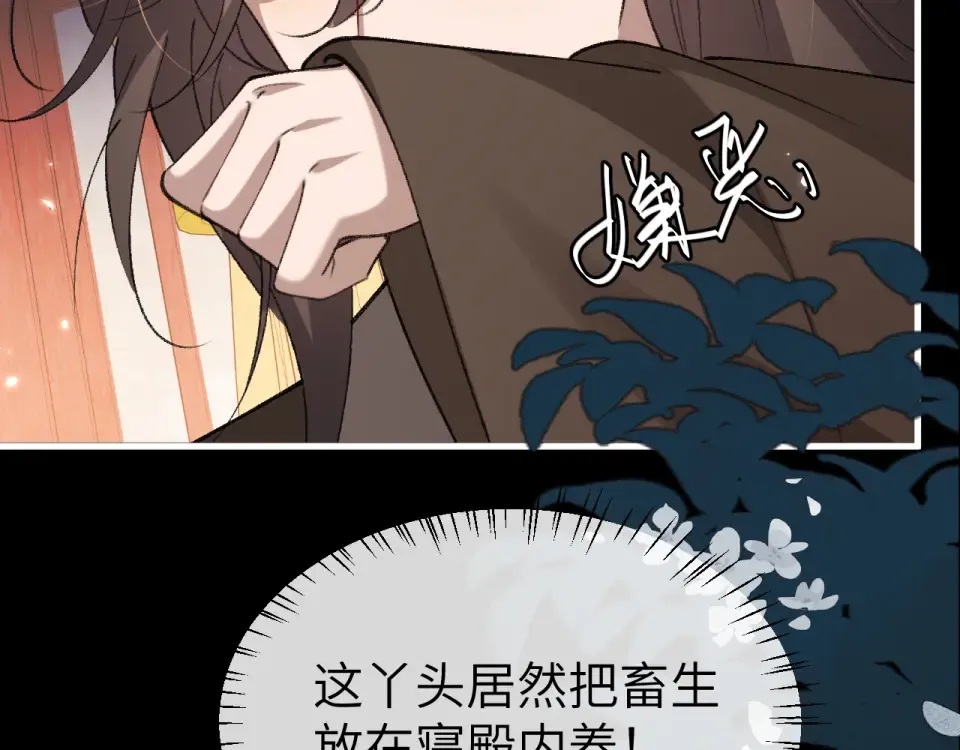 第231页