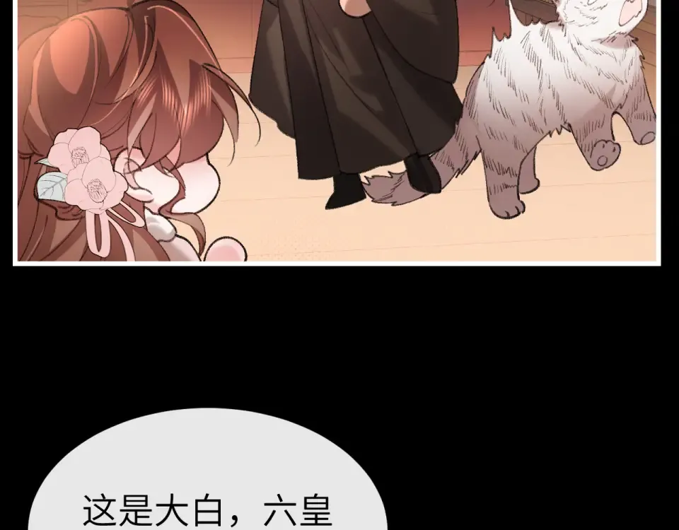 第219页