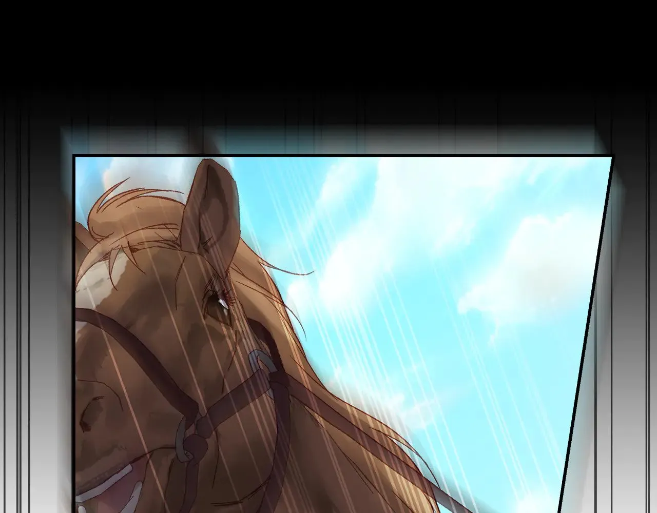 第204页
