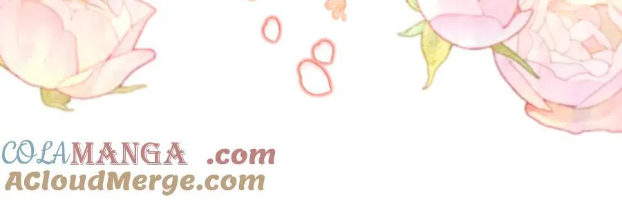第504页