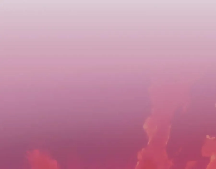 第399页