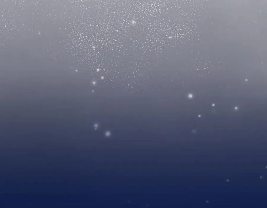 第501页