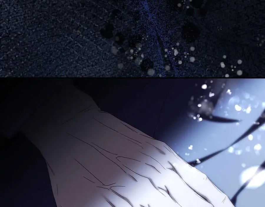 第537页