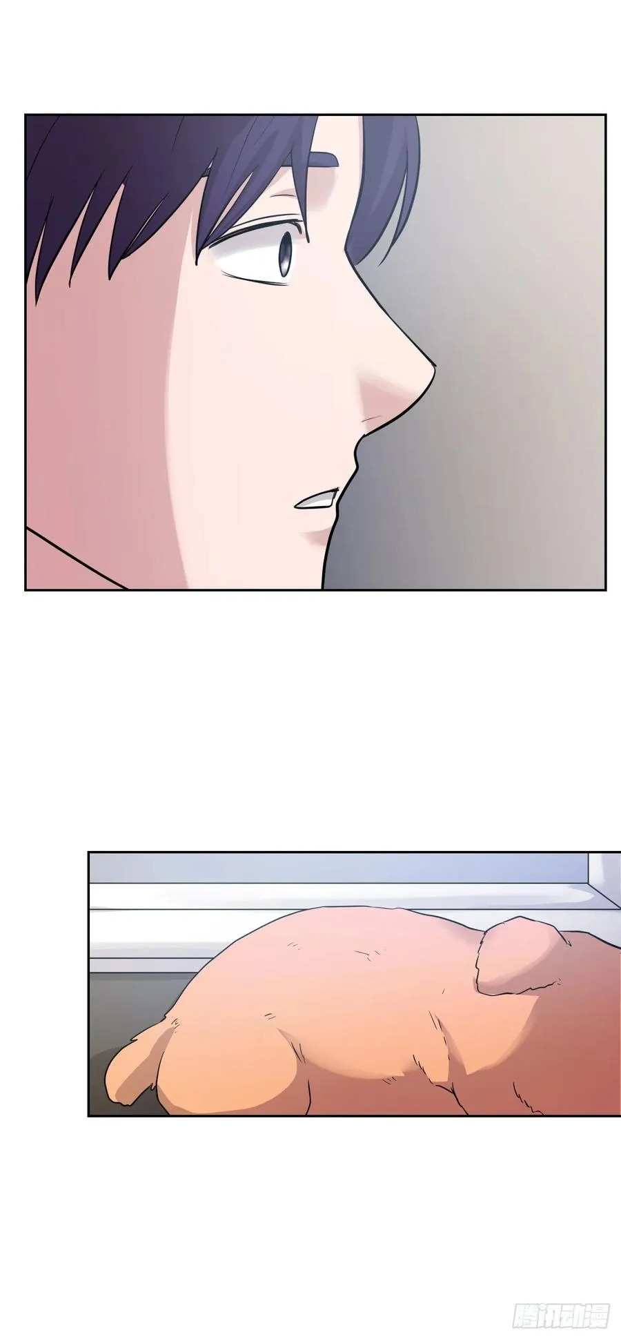 第495页