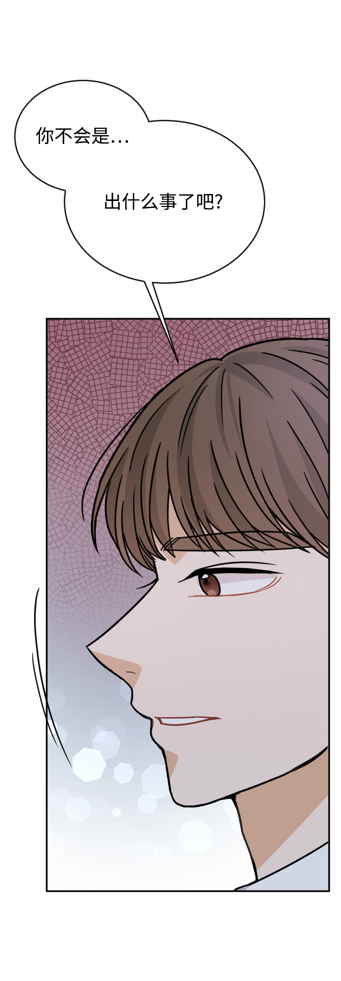 第204页