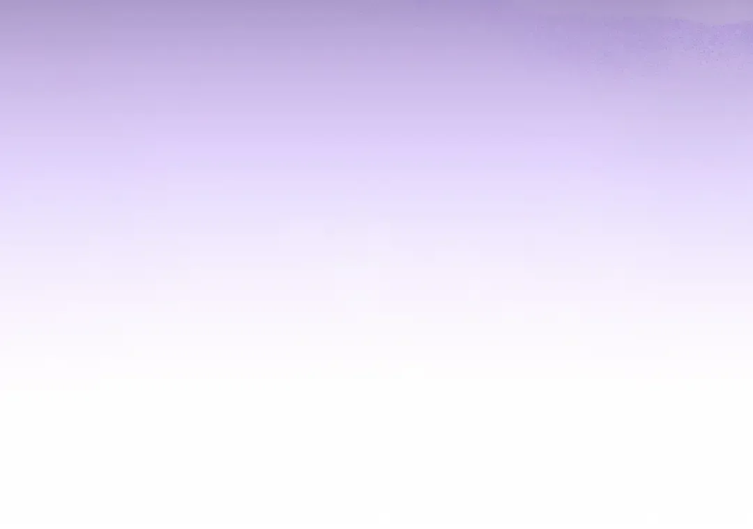 第462页