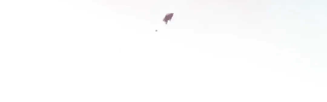 第240页
