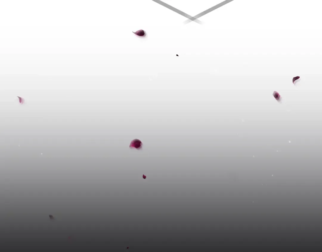 第225页