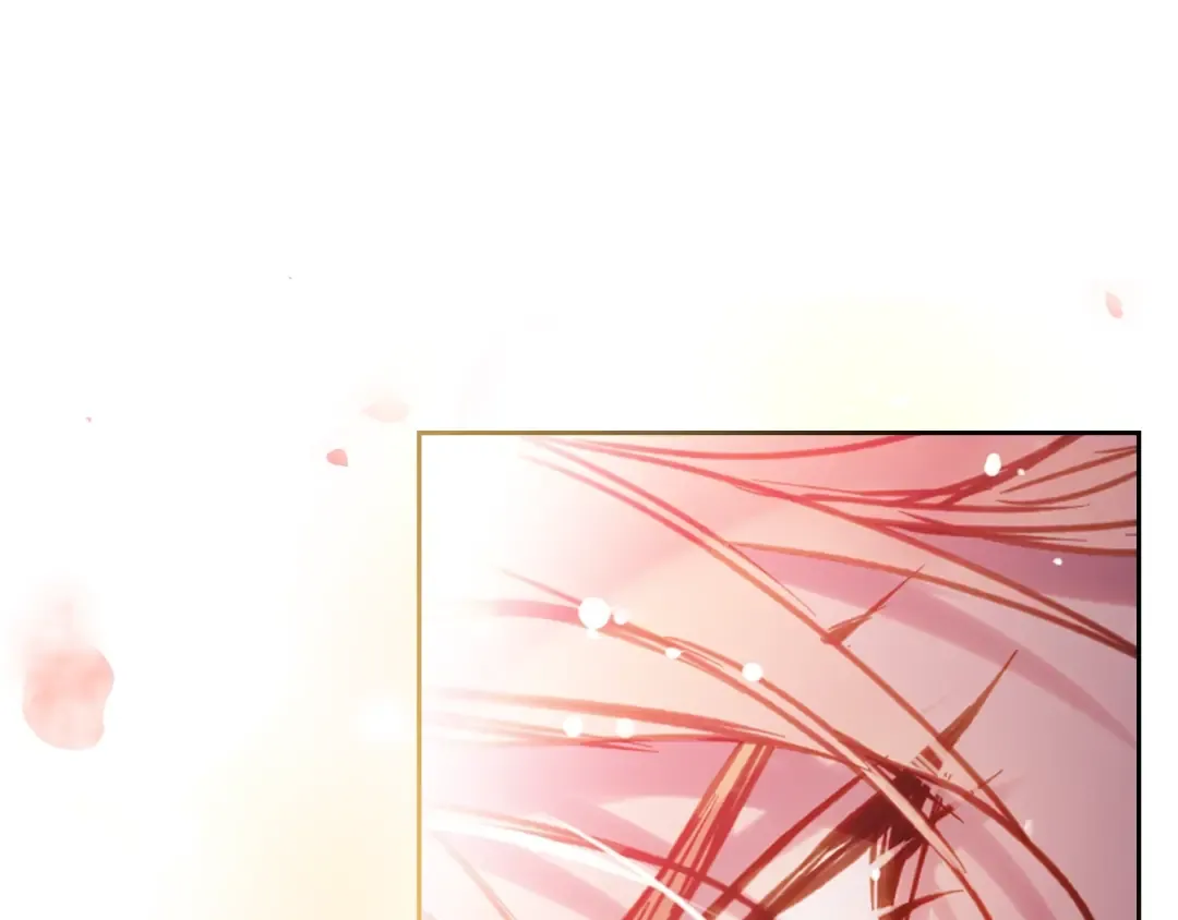第498页