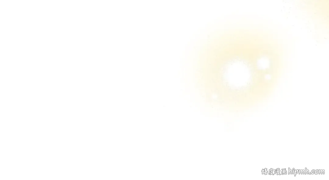第213页