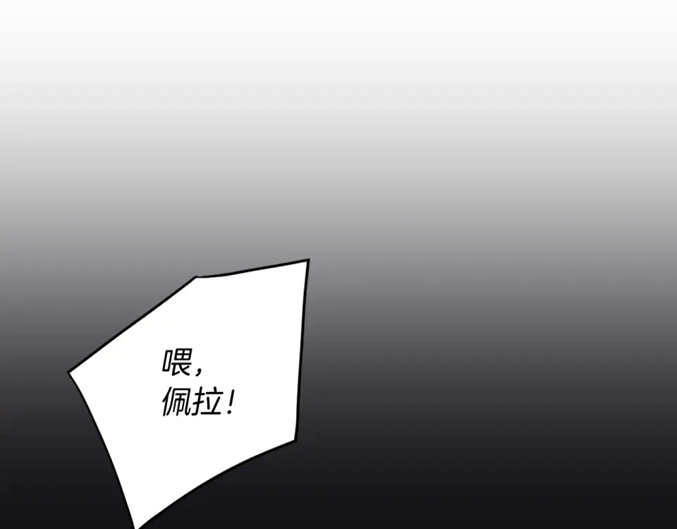 第240页
