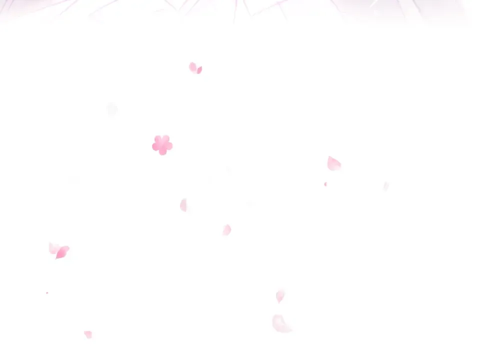 第411页