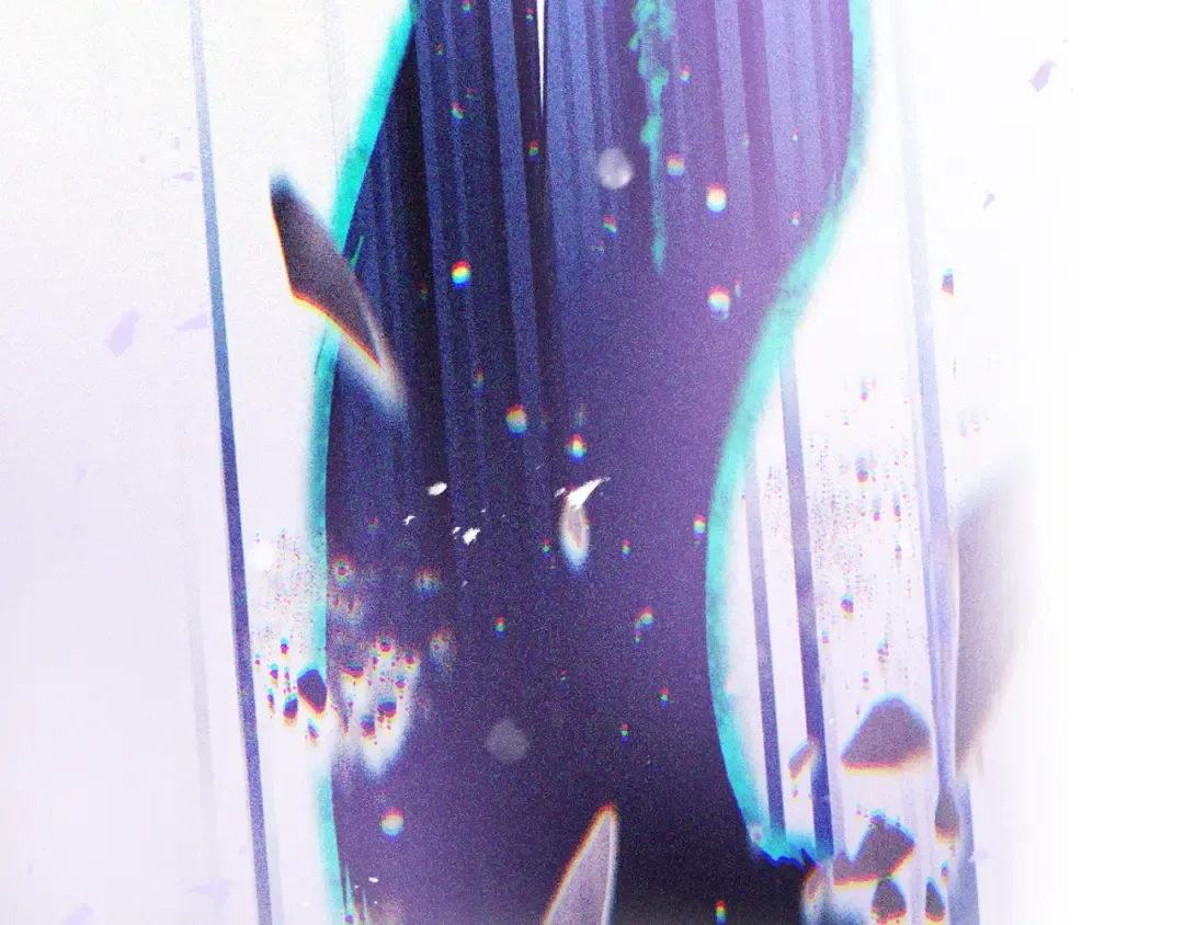 第459页
