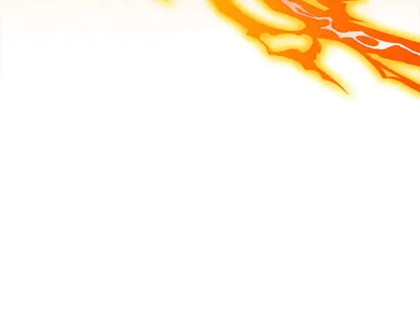 第528页