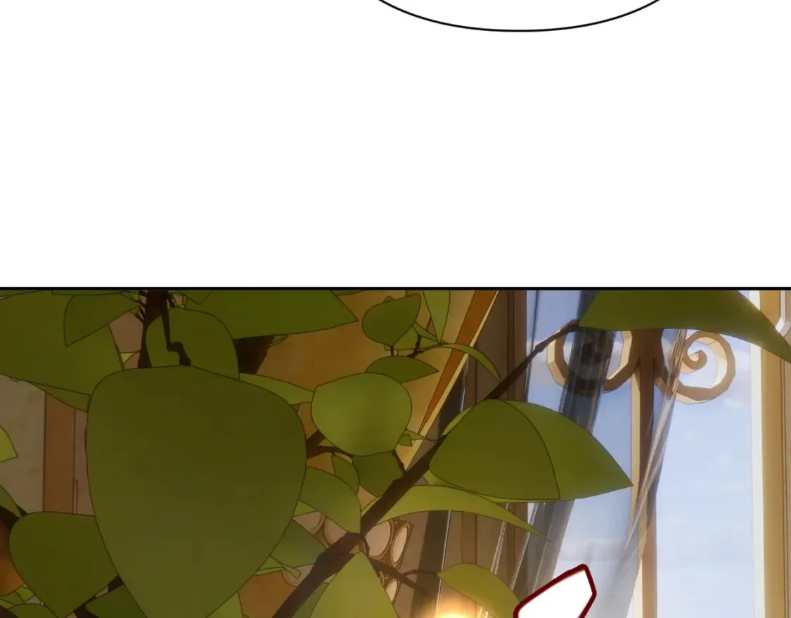 第558页