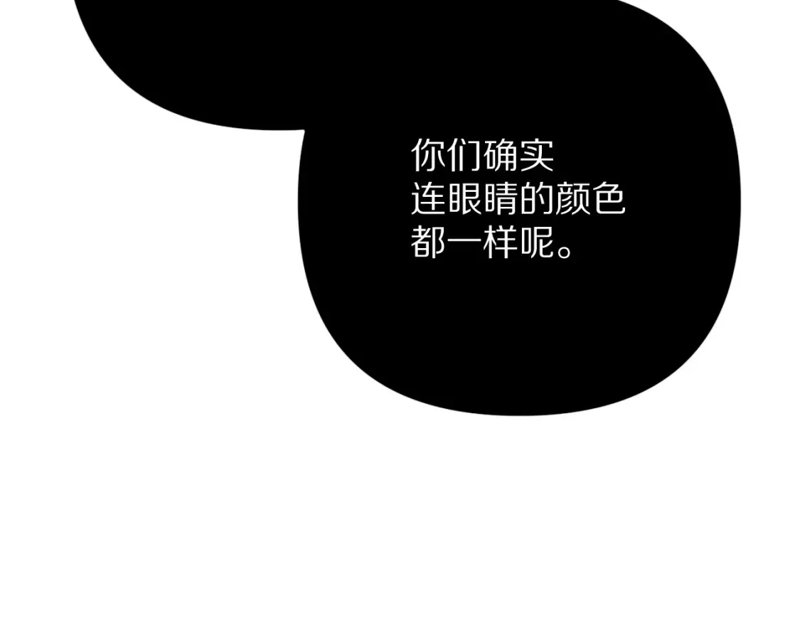 第519页