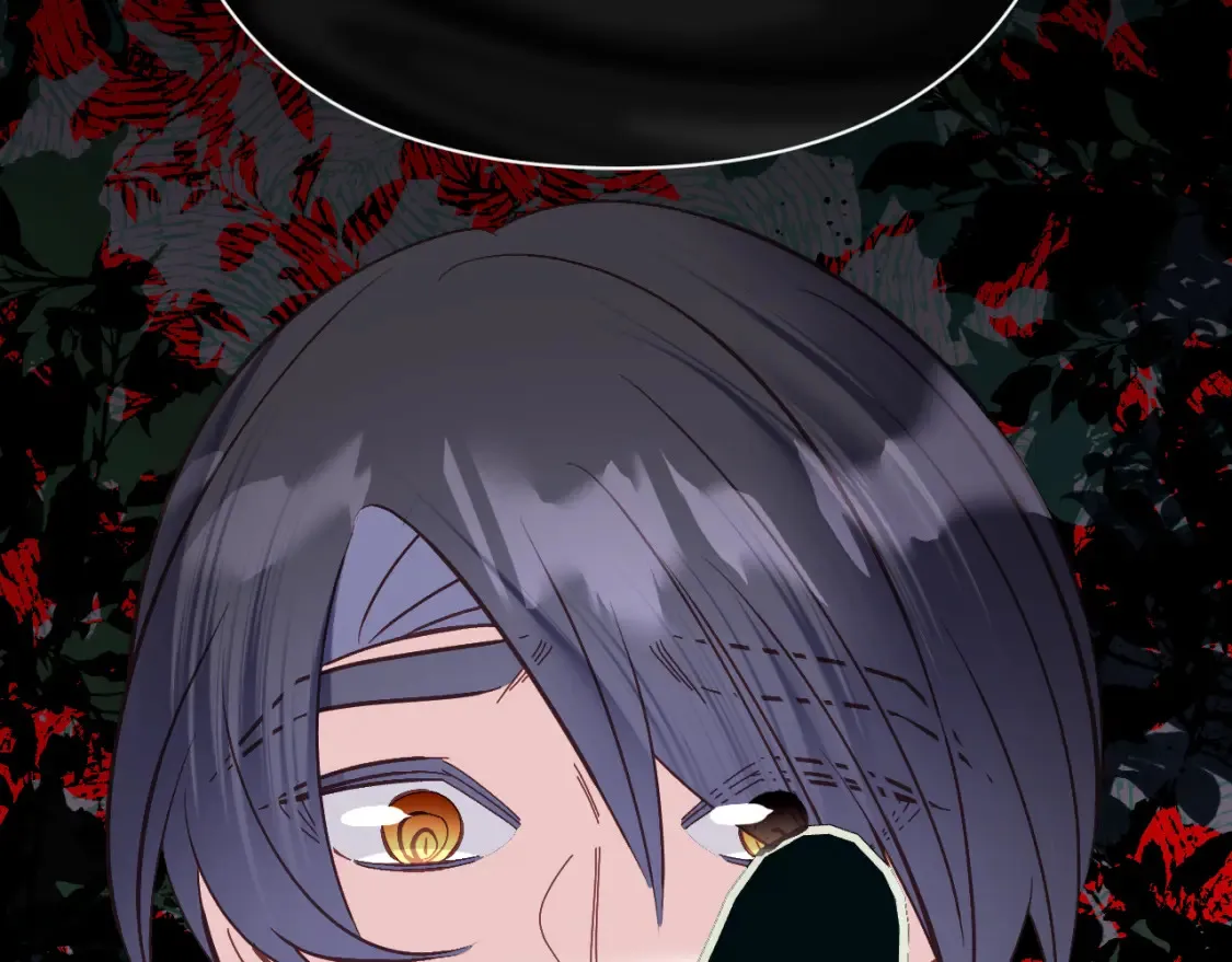 第492页