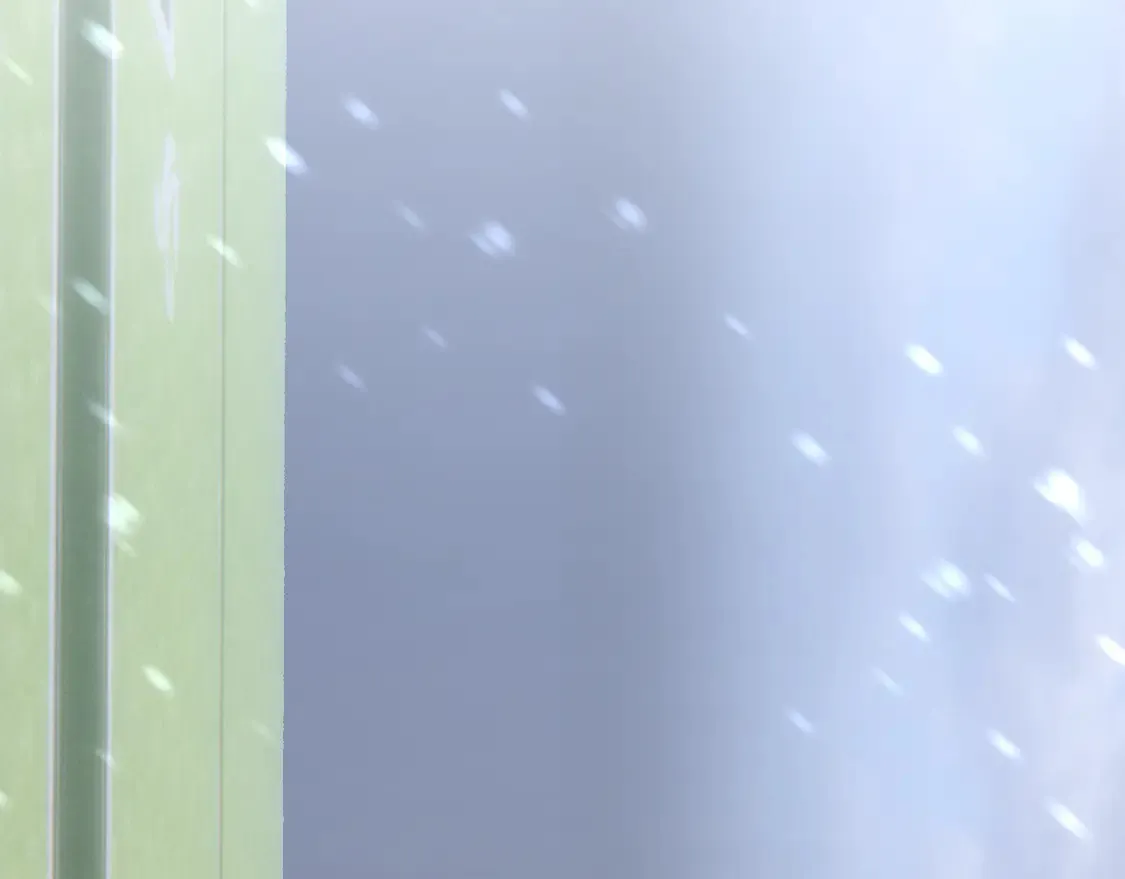 第336页